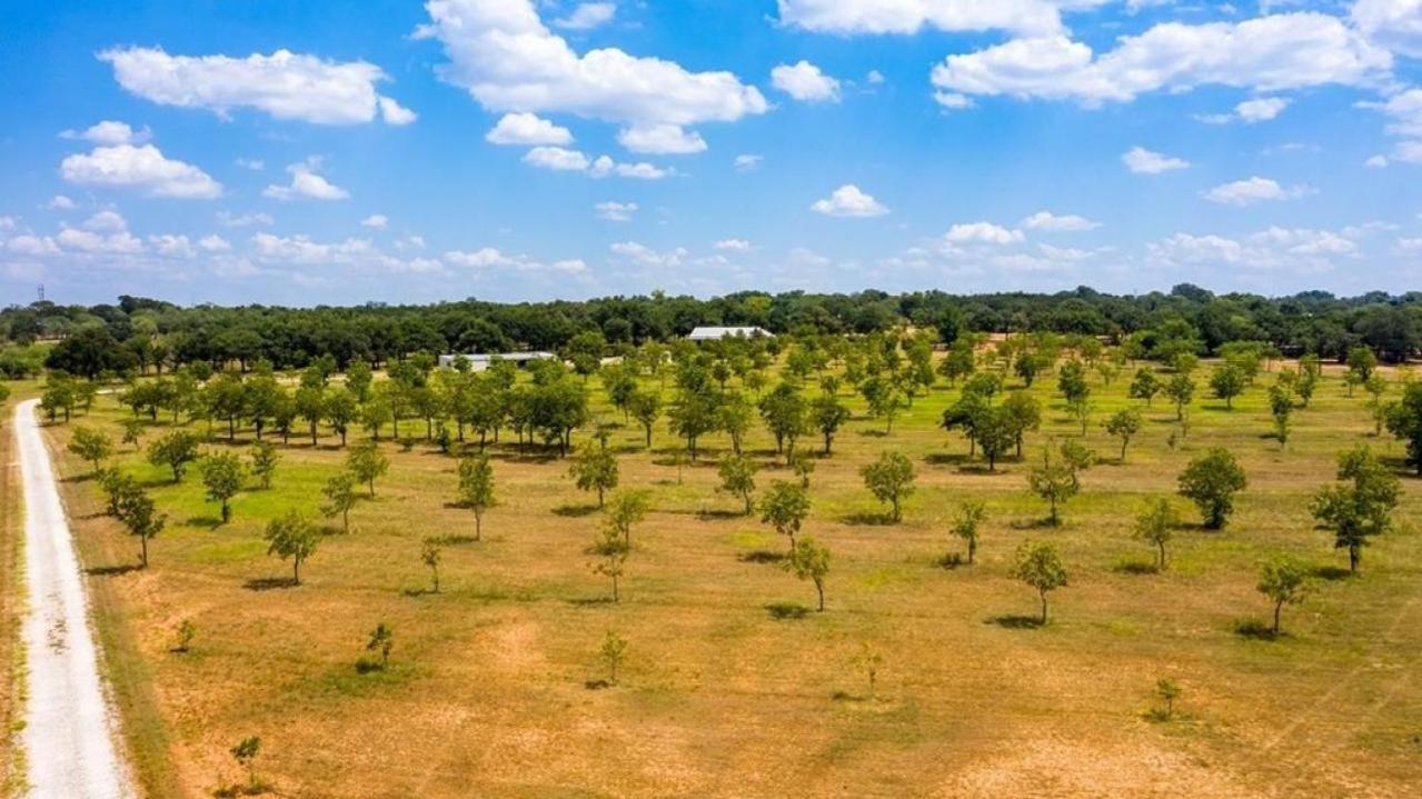 Pecan Farm Haus Φρέντερικσμπεργκ Εξωτερικό φωτογραφία