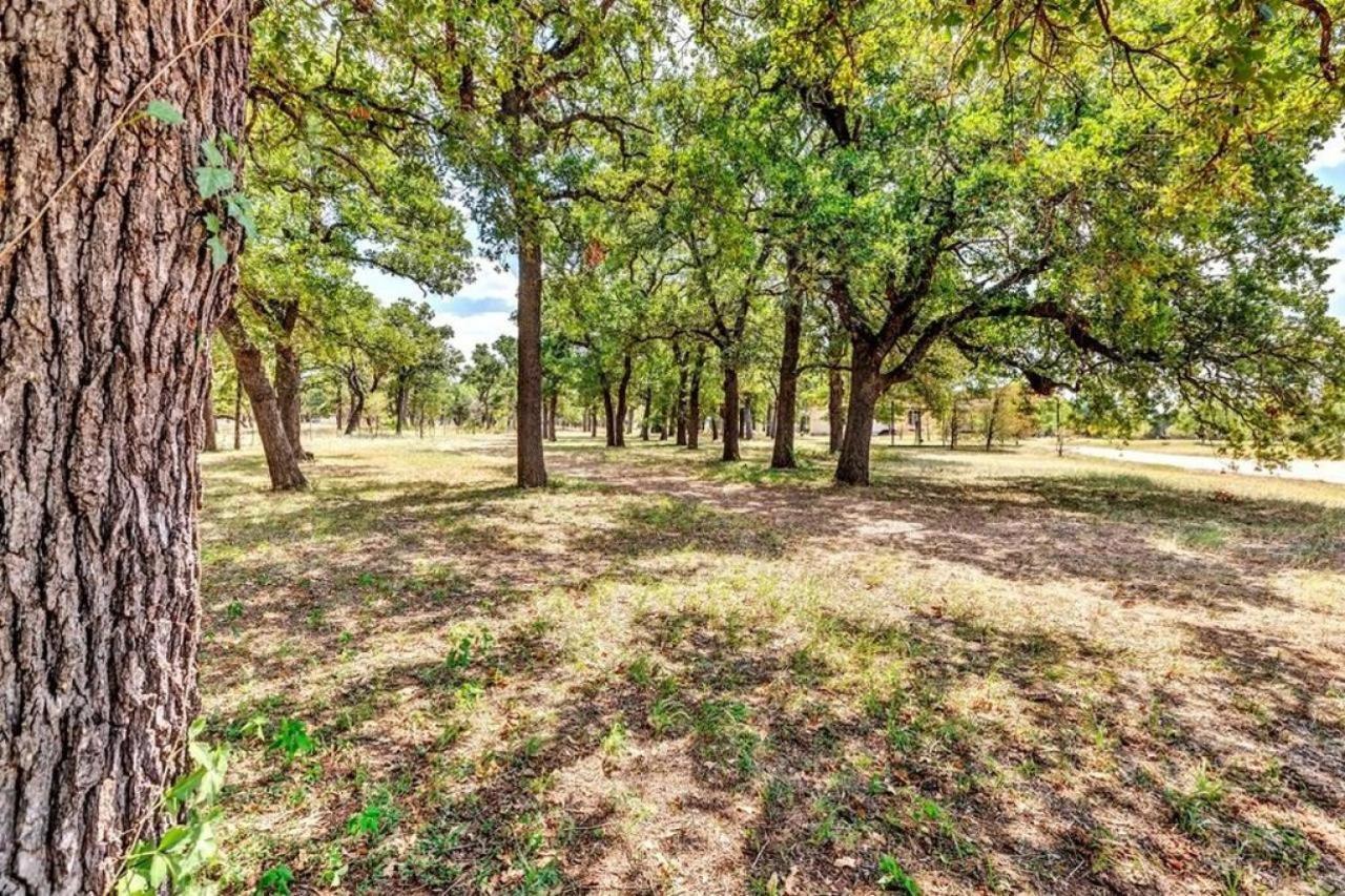 Pecan Farm Haus Φρέντερικσμπεργκ Εξωτερικό φωτογραφία